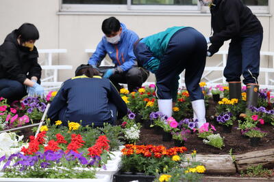 ３年生は八角形花壇