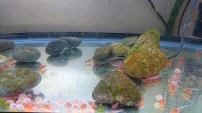 ‎11‎月‎30‎日