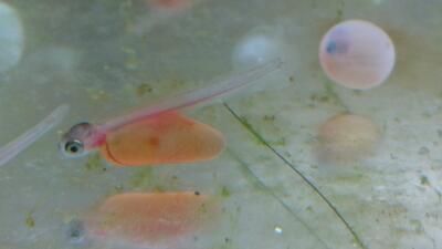 ‎11‎月‎30‎日