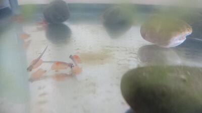 ‎12‎月‎5‎日