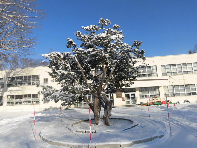 千歳市立駒里小中学校