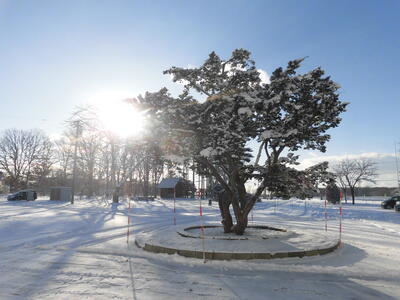 千歳市立駒里小中学校