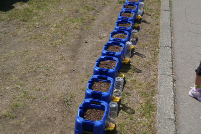 きれいに整列！